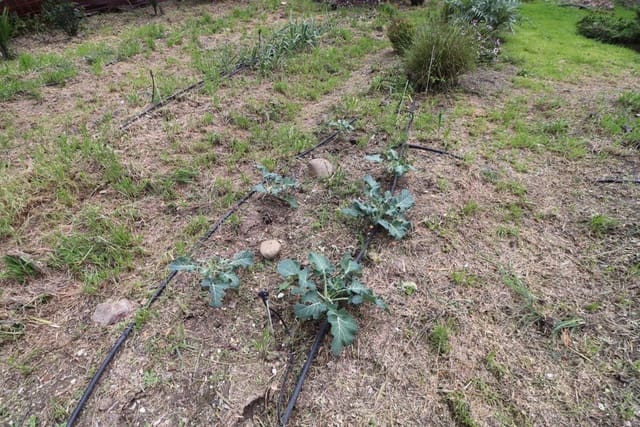 3 soverom Villa til leie i Coín med garasje - € 1 200 (Ref: 9575011)