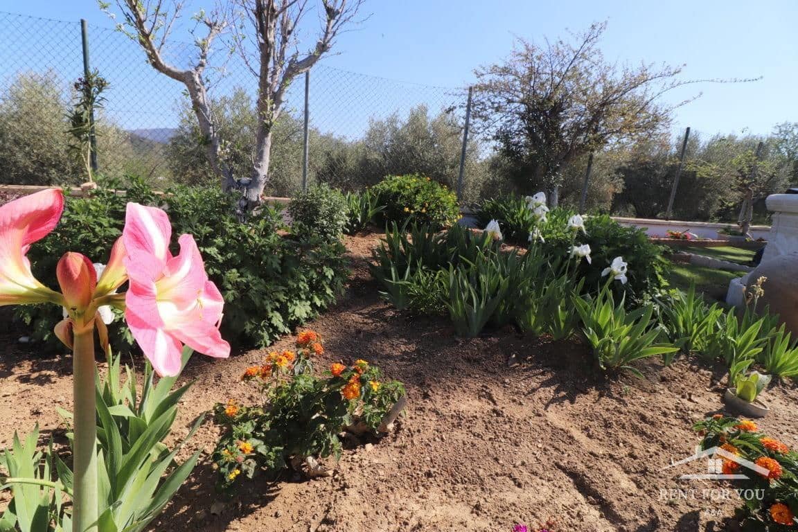 4 bedroom Villa for rent in Guaro with pool - € 3,000 (Ref: 9731478)