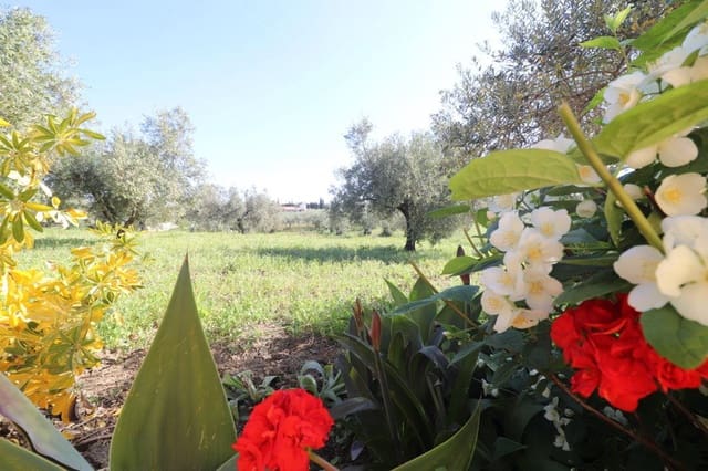 3 bedroom Villa for rent in Coín - € 1,750 (Ref: 9898471)