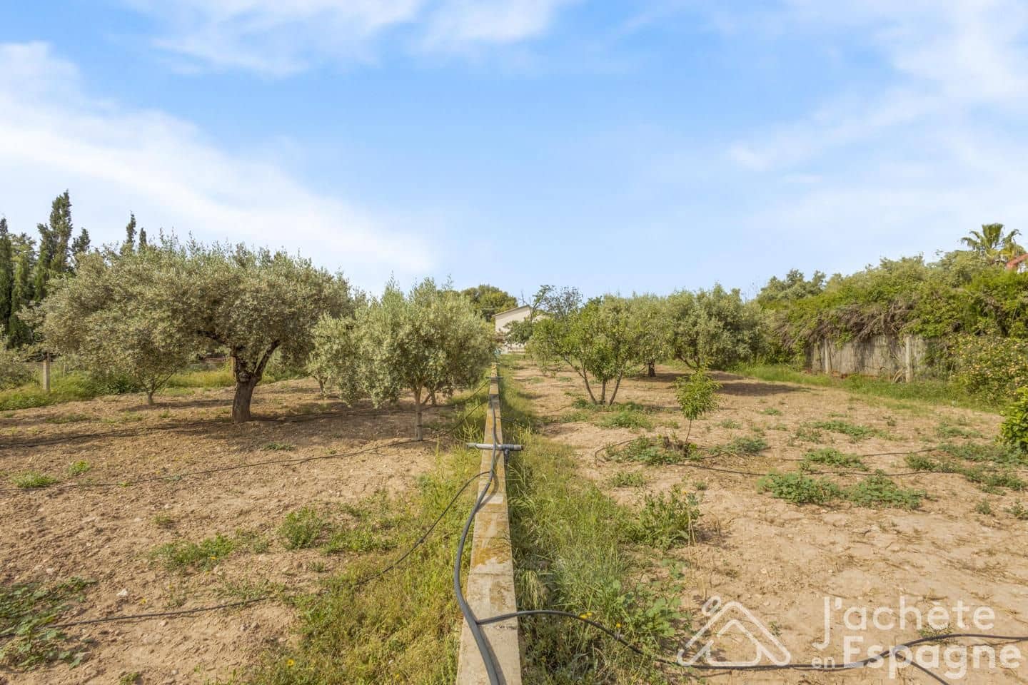 4 slaapkamer Villa te koop in San Vicente / Sant Vicent del Raspeig met zwembad garage - € 430.000 (Ref: 10116120)