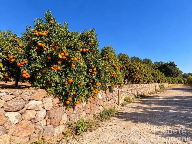 Grunde uden byggetilladelser til salg i Benifairó de la Valldigna - € 90.000 (Ref: 10136217)