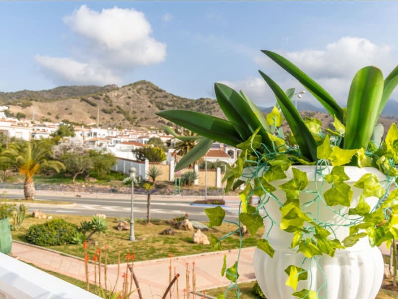 Restaurant/Bar til salgs i Nerja - € 395 000 (Ref: 6694704)