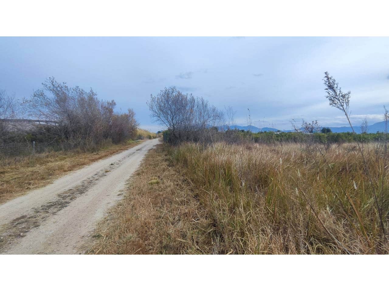 Teren niezagospodarowany na sprzedaż w Oliva - 15 000 € (Ref: 8317289)