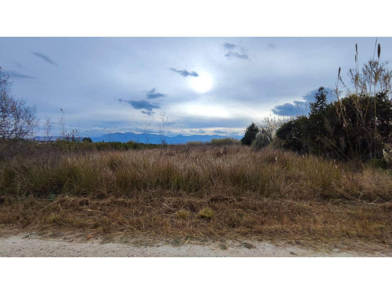 Teren niezagospodarowany na sprzedaż w Oliva - 15 000 € (Ref: 8317289)