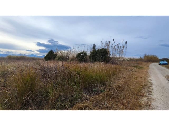 Undeveloped Land for sale in Oliva - € 15,000 (Ref: 8317289)