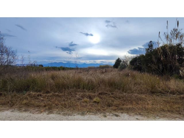 Undeveloped Land for sale in Oliva - € 15,000 (Ref: 8317289)