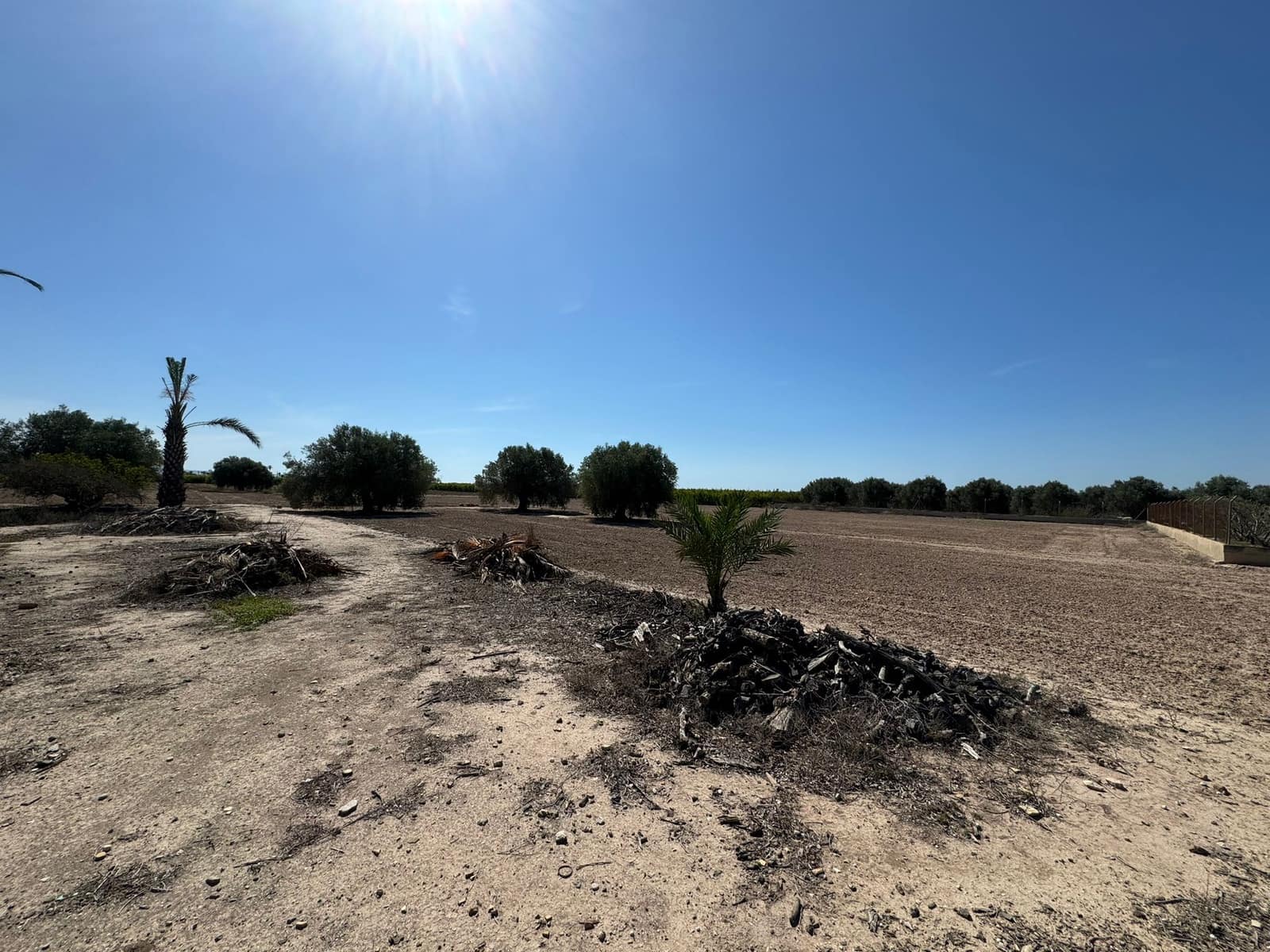 3 soveværelse Finca/Landehus til salg i La Marina med garage - € 285.000 (Ref: 8866423)