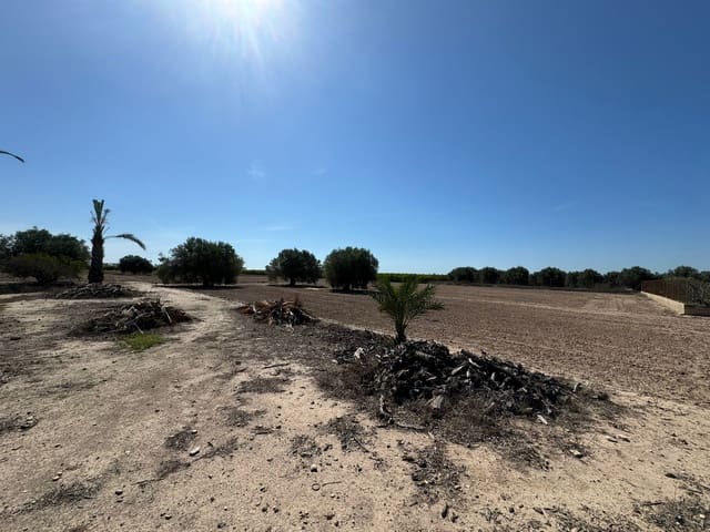 3 soveværelse Finca/Landehus til salg i La Marina, Elche / Elx med garage - € 285.000 (Ref: 8866423)