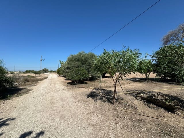 3 soveværelse Finca/Landehus til salg i La Marina, Elche / Elx med garage - € 285.000 (Ref: 8866423)