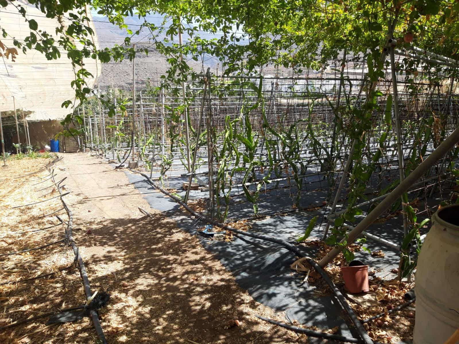 2 quarto Quinta/Casa Rural para venda em La Aldea de San Nicolas - 260 000 € (Ref: 5683719)