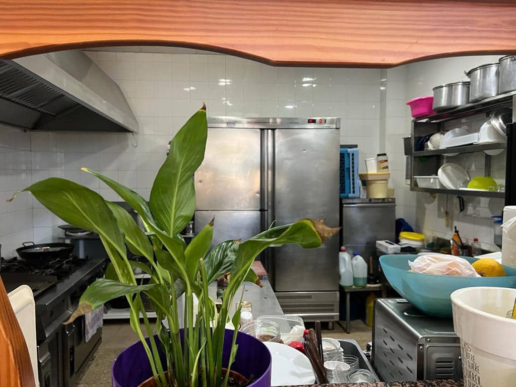 Restaurant/Bar til salg i La Aldea de San Nicolas - € 252.840 (Ref: 7280981)