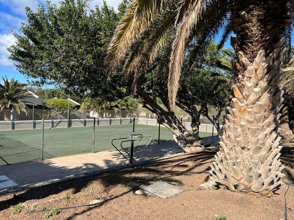 Restaurant/Bar til salg i La Aldea de San Nicolas - € 252.840 (Ref: 7280981)