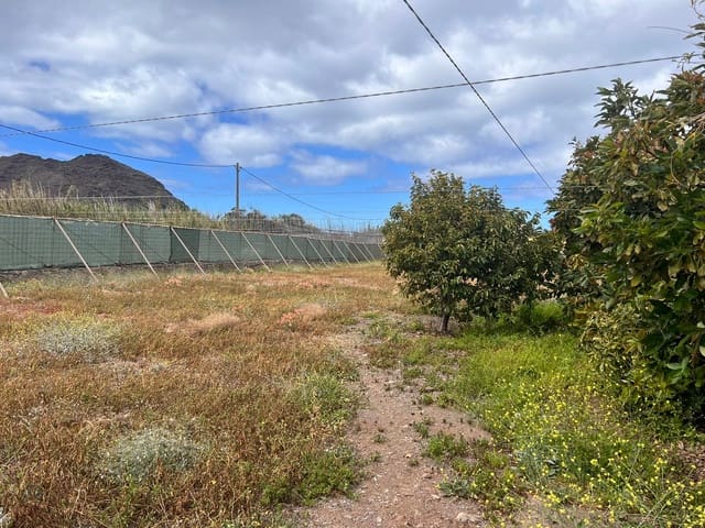 Rakentamaton maa myytävänä paikassa La Aldea de San Nicolas - 159 000 € (Ref: 7635086)