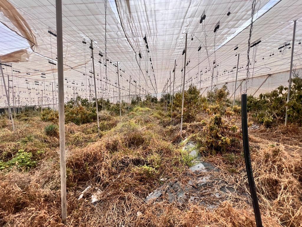 Grunde uden byggetilladelser til salg i La Aldea de San Nicolas - € 210.700 (Ref: 7635087)