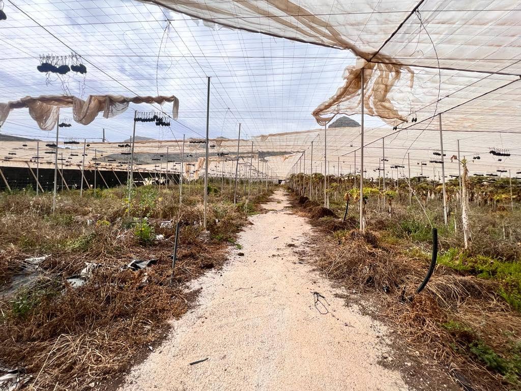 Grunde uden byggetilladelser til salg i La Aldea de San Nicolas - € 210.700 (Ref: 7635087)