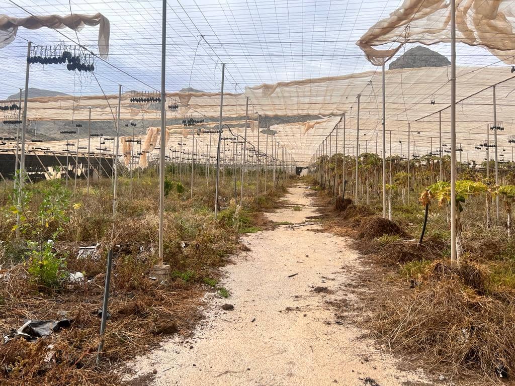 Grunde uden byggetilladelser til salg i La Aldea de San Nicolas - € 210.700 (Ref: 7635087)