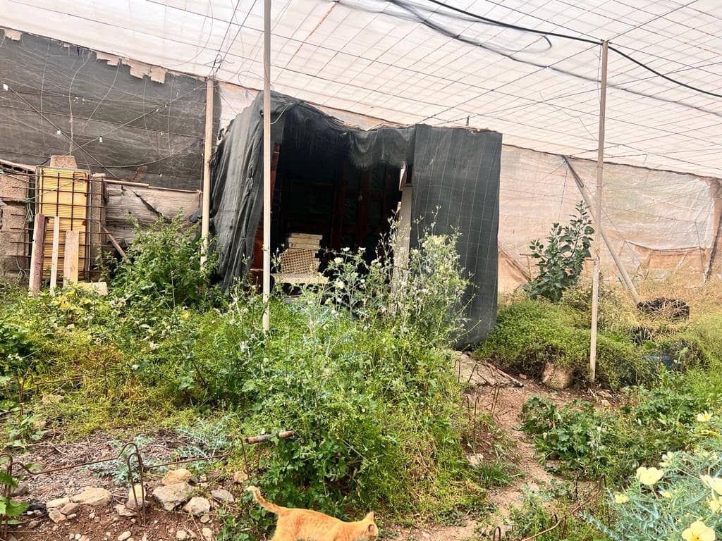 Grunde uden byggetilladelser til salg i La Aldea de San Nicolas - € 210.700 (Ref: 7635087)