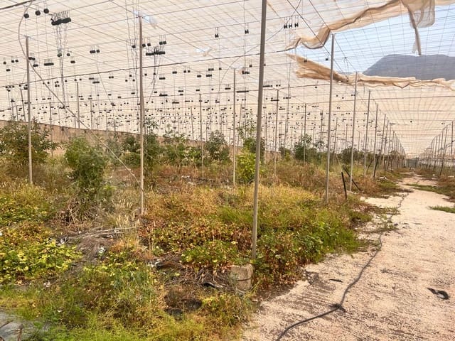 Rakentamaton maa myytävänä paikassa La Aldea de San Nicolas - 210 700 € (Ref: 7635087)