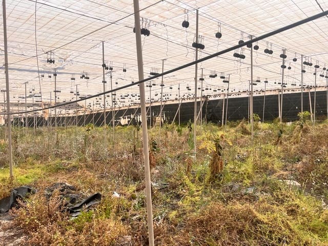 Rakentamaton maa myytävänä paikassa La Aldea de San Nicolas - 210 700 € (Ref: 7635087)