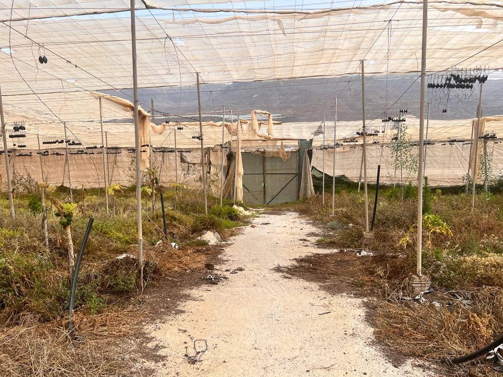 Grunde uden byggetilladelser til salg i La Aldea de San Nicolas - € 210.700 (Ref: 7635087)