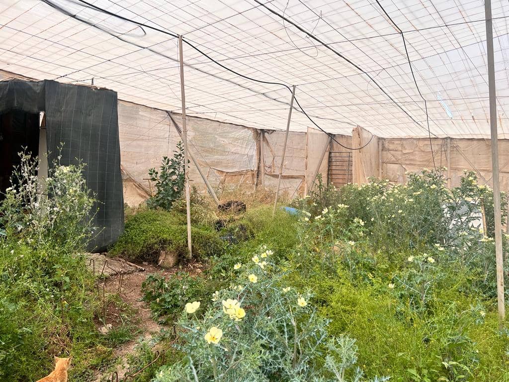 Grunde uden byggetilladelser til salg i La Aldea de San Nicolas - € 210.700 (Ref: 7635087)