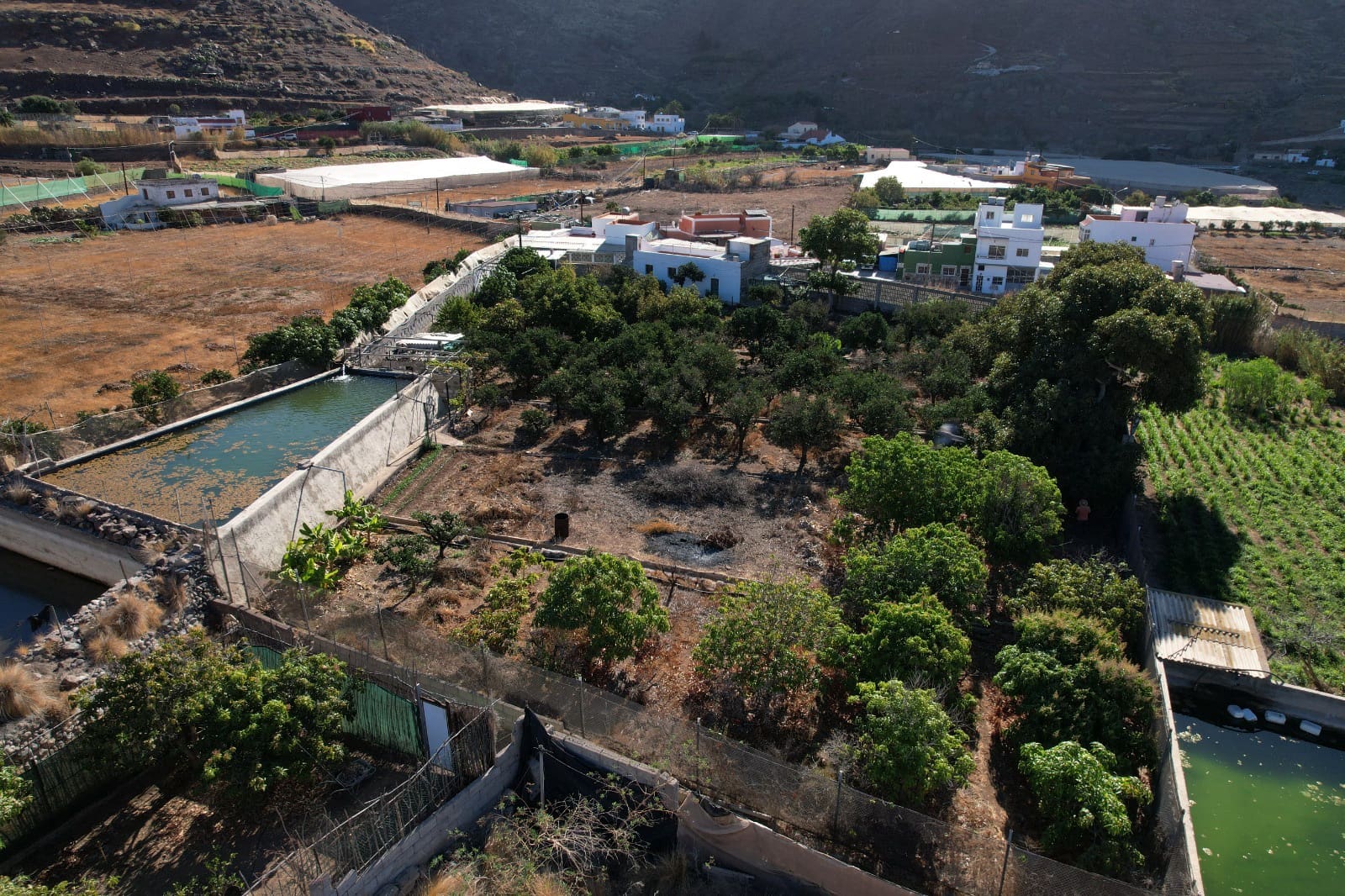 8 soveværelse Finca/Landehus til salg i La Aldea de San Nicolas - € 375.000 (Ref: 8143448)