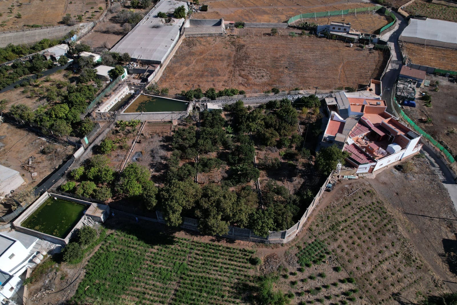8 soveværelse Finca/Landehus til salg i La Aldea de San Nicolas - € 375.000 (Ref: 8143448)