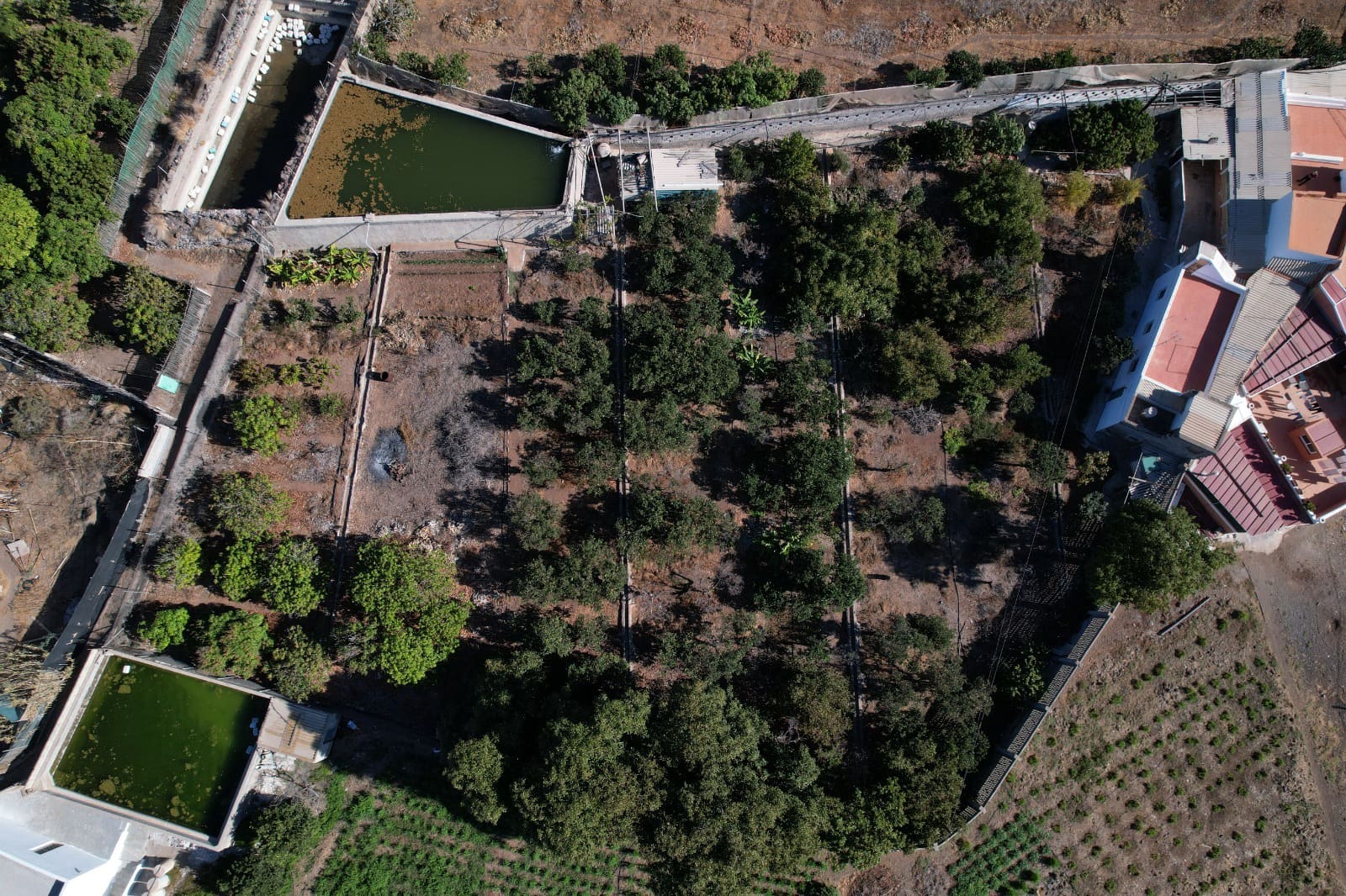 8 soveværelse Finca/Landehus til salg i La Aldea de San Nicolas - € 375.000 (Ref: 8143448)