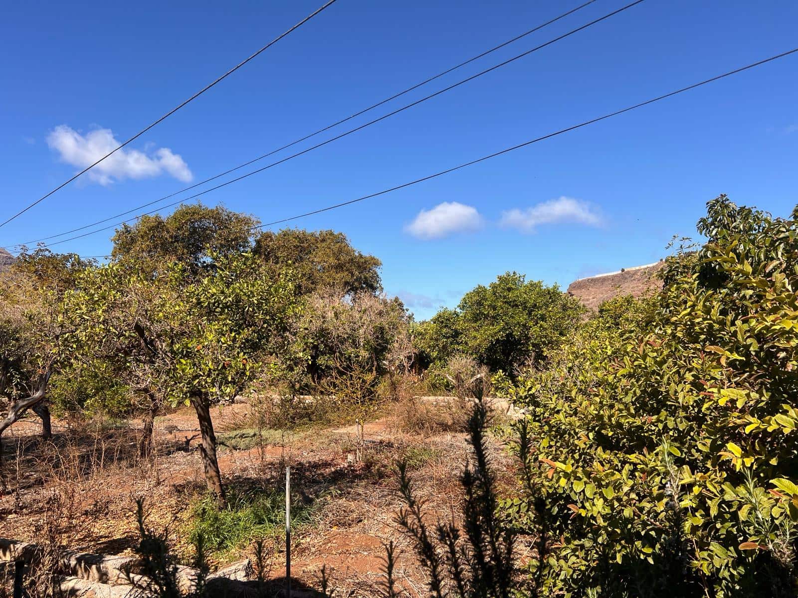 8 soveværelse Finca/Landehus til salg i La Aldea de San Nicolas - € 375.000 (Ref: 8143448)