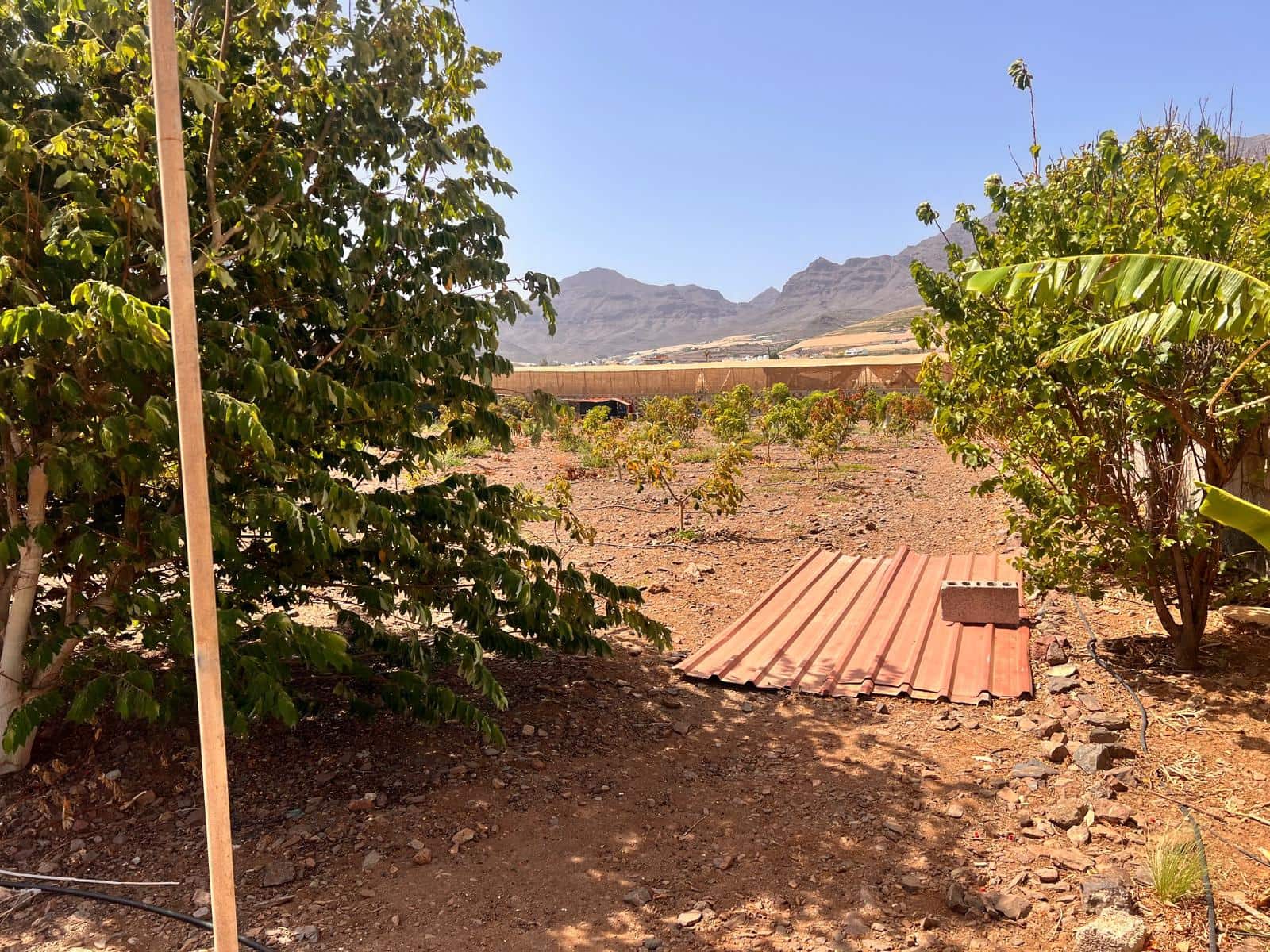 2 soveværelse Finca/Landehus til salg i La Aldea de San Nicolas med swimmingpool - € 300.000 (Ref: 8466753)