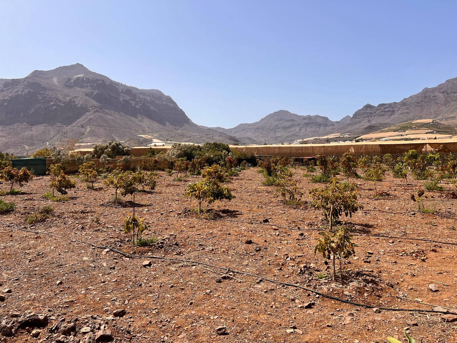 2 soveværelse Finca/Landehus til salg i La Aldea de San Nicolas med swimmingpool - € 300.000 (Ref: 8466753)