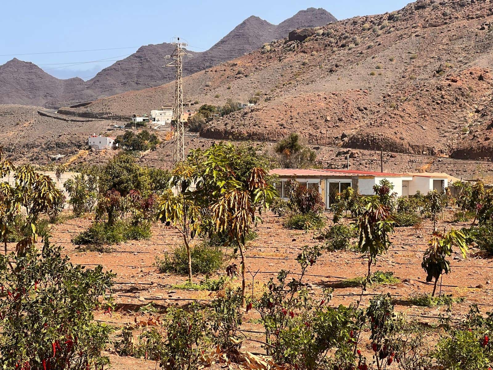 2 soveværelse Finca/Landehus til salg i La Aldea de San Nicolas med swimmingpool - € 300.000 (Ref: 8466753)