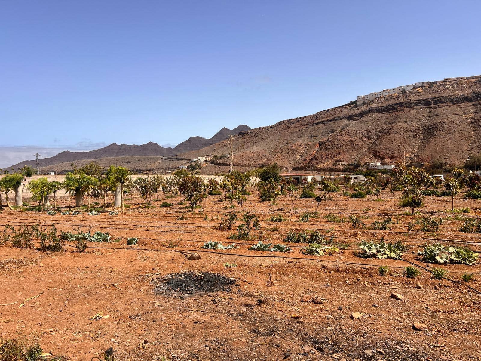 2 soveværelse Finca/Landehus til salg i La Aldea de San Nicolas med swimmingpool - € 300.000 (Ref: 8466753)