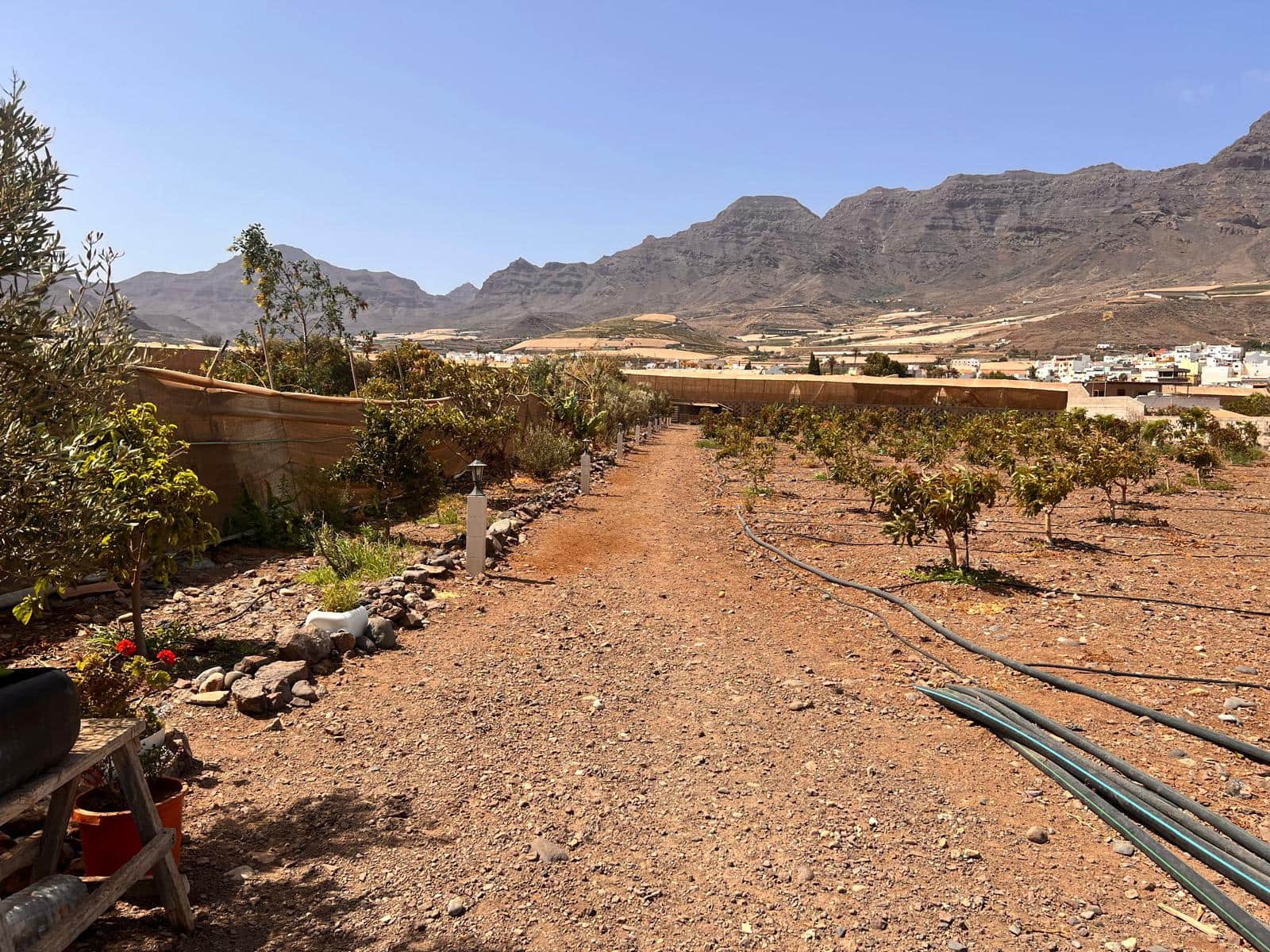 2 soveværelse Finca/Landehus til salg i La Aldea de San Nicolas med swimmingpool - € 300.000 (Ref: 8466753)