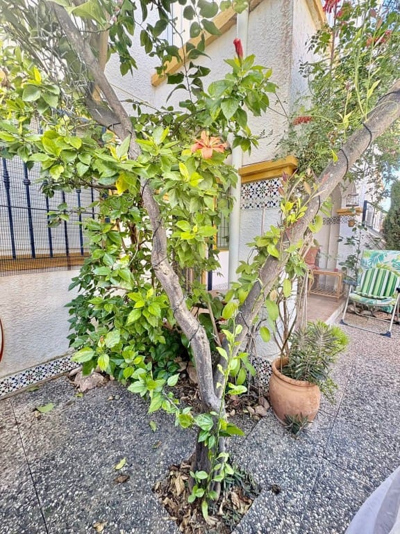 2 bedroom Apartment for sale in La Florida with pool - € 159,995 (Ref: 9731270)