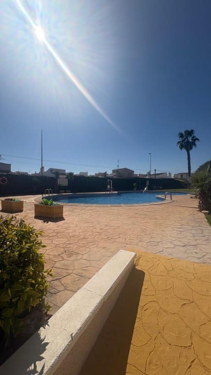 2 bedroom Apartment for sale in Playa Flamenca with pool - € 149,500 (Ref: 9731272)