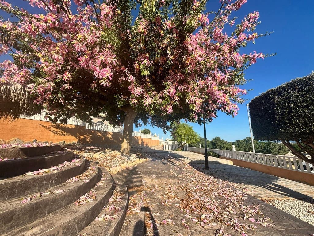 2 bedroom Apartment for sale in Orihuela Costa with pool - € 159,950 (Ref: 9731291)