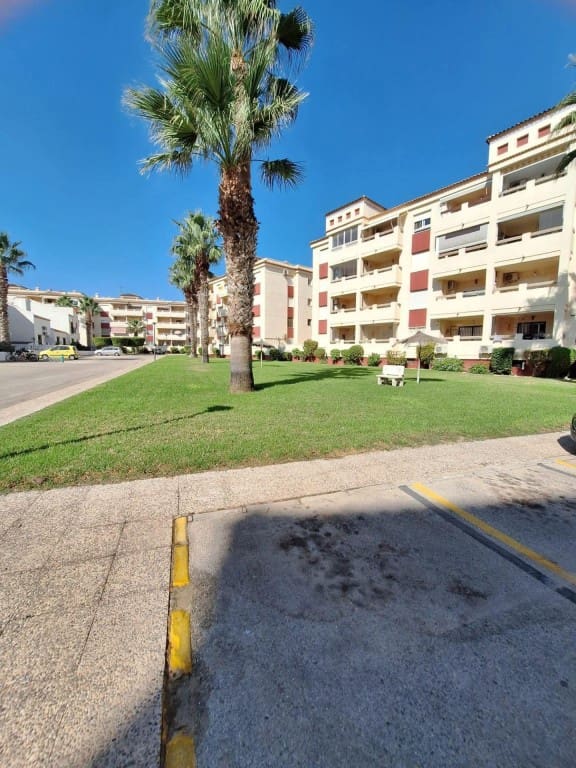 2 bedroom Apartment for sale in Playa Flamenca with pool - € 166,900 (Ref: 9781255)
