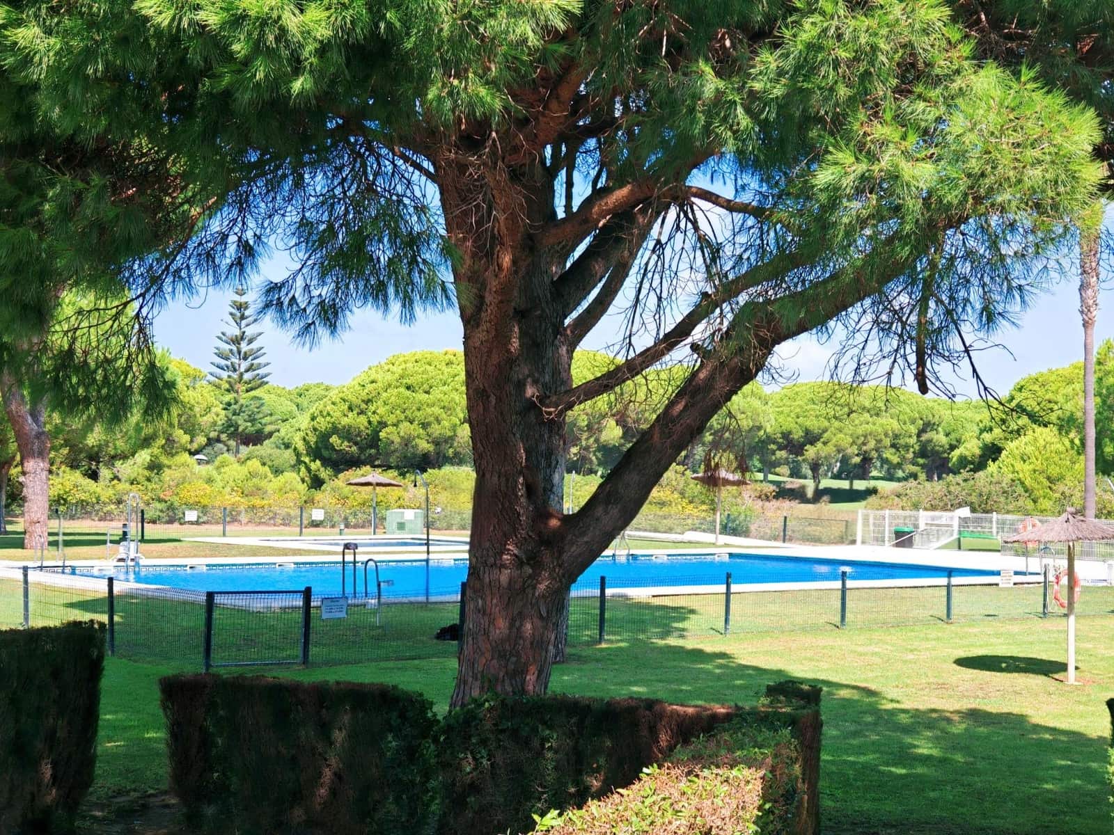 2 chambre Appartement à vendre à Chiclana de la Frontera avec piscine - 215 000 € (Ref: 10081437)