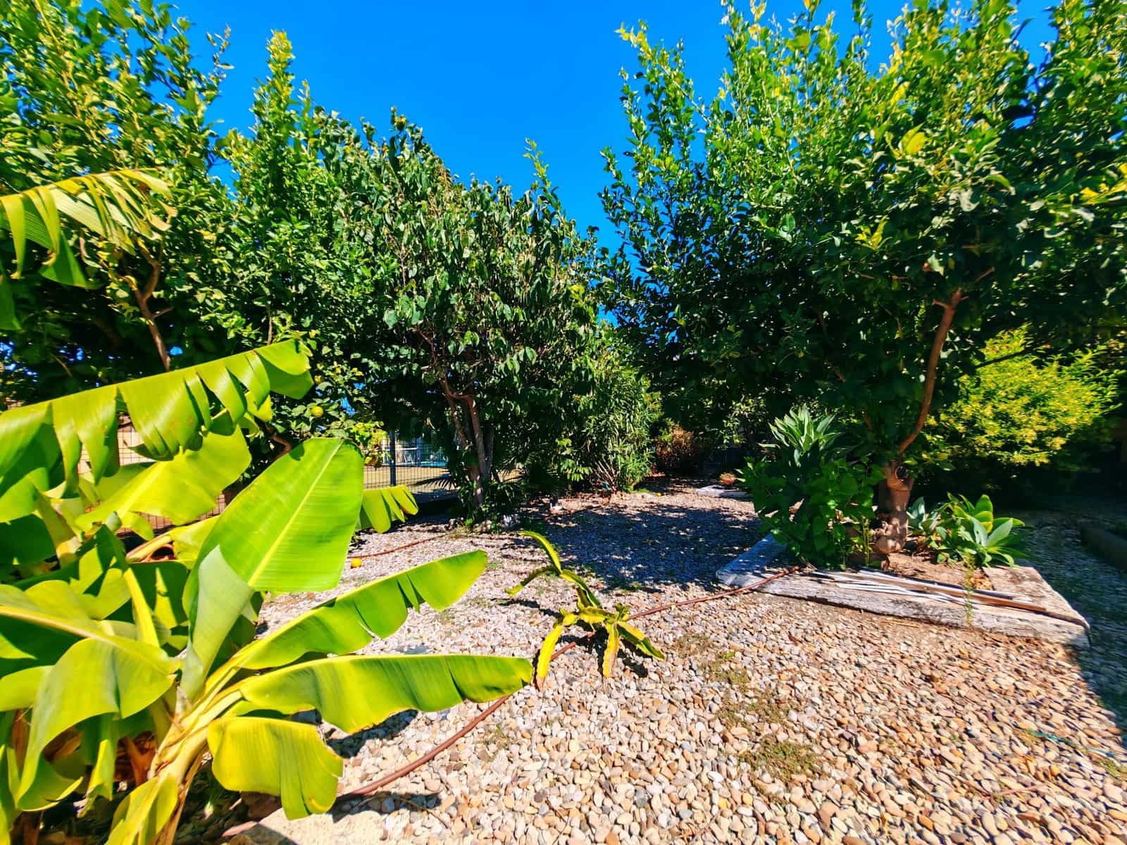 4 chambre Villa/Maison à vendre à Pago del Humo avec piscine garage - 420 000 € (Ref: 10139856)