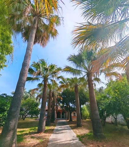 4 chambre Villa/Maison à vendre à Chiclana de la Frontera avec piscine garage - 600 000 € (Ref: 9073526)