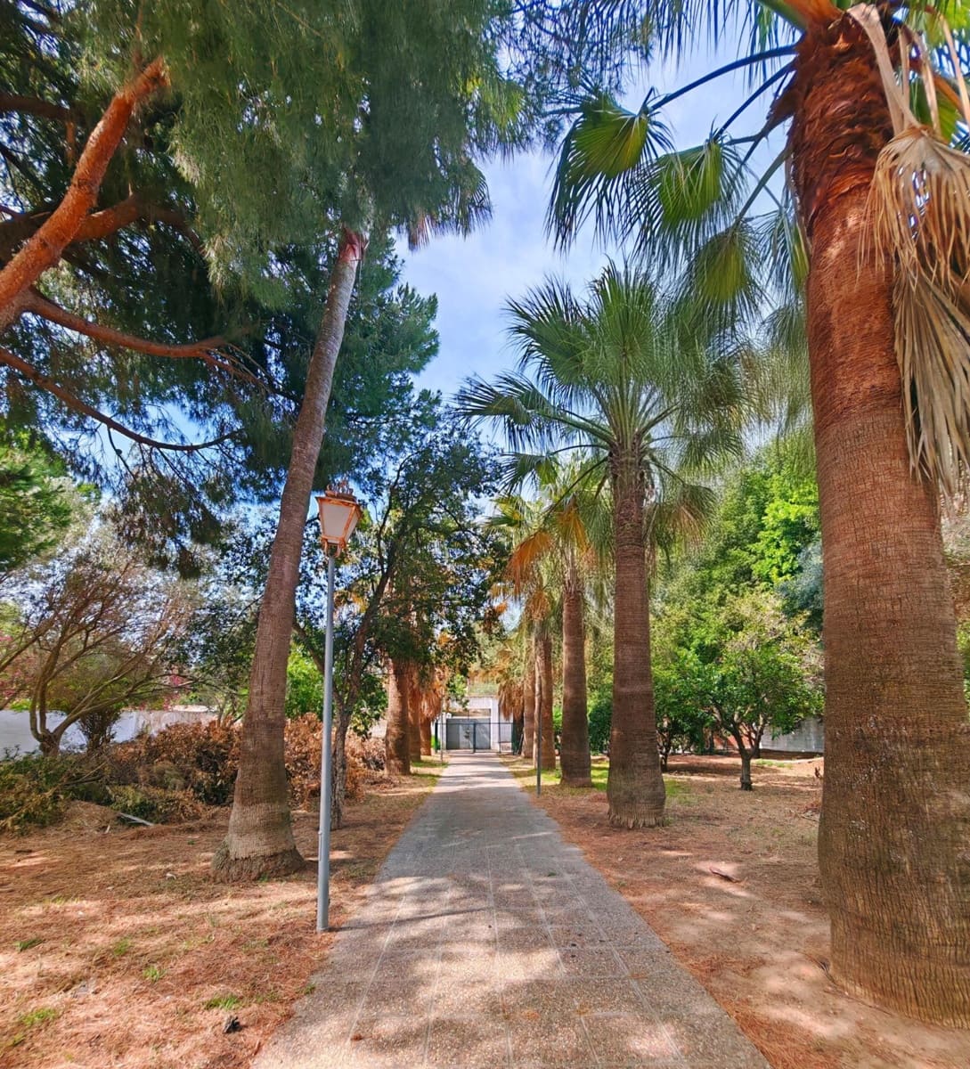 4 chambre Villa/Maison à vendre à Chiclana de la Frontera avec piscine garage - 600 000 € (Ref: 9073526)