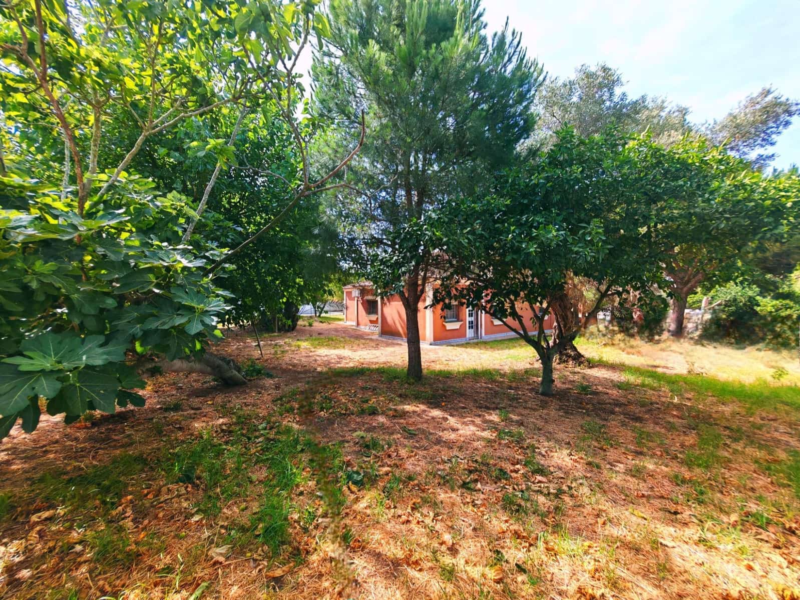 4 chambre Villa/Maison à vendre à Chiclana de la Frontera avec piscine garage - 600 000 € (Ref: 9073526)