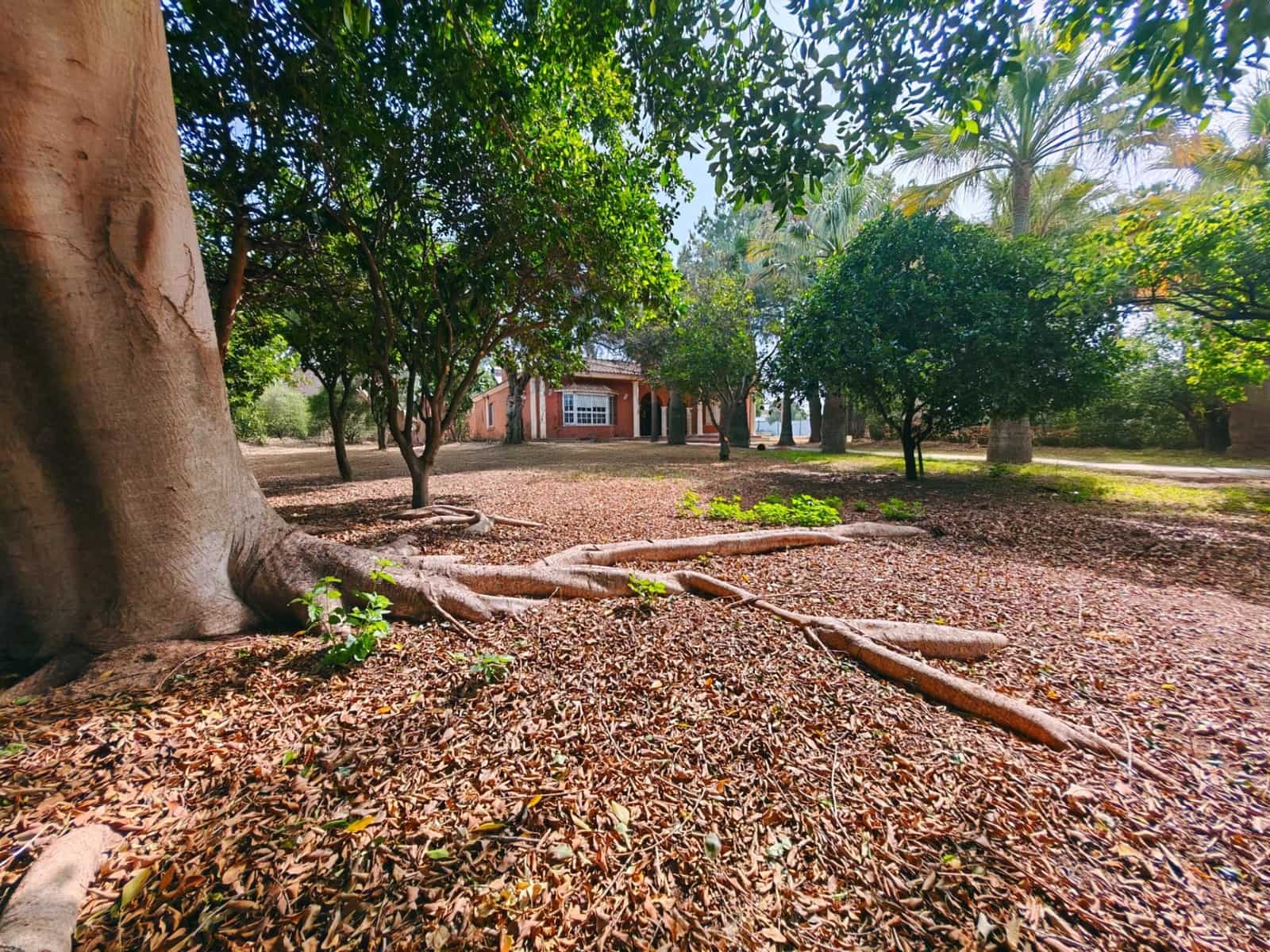 4 chambre Villa/Maison à vendre à Chiclana de la Frontera avec piscine garage - 600 000 € (Ref: 9073526)