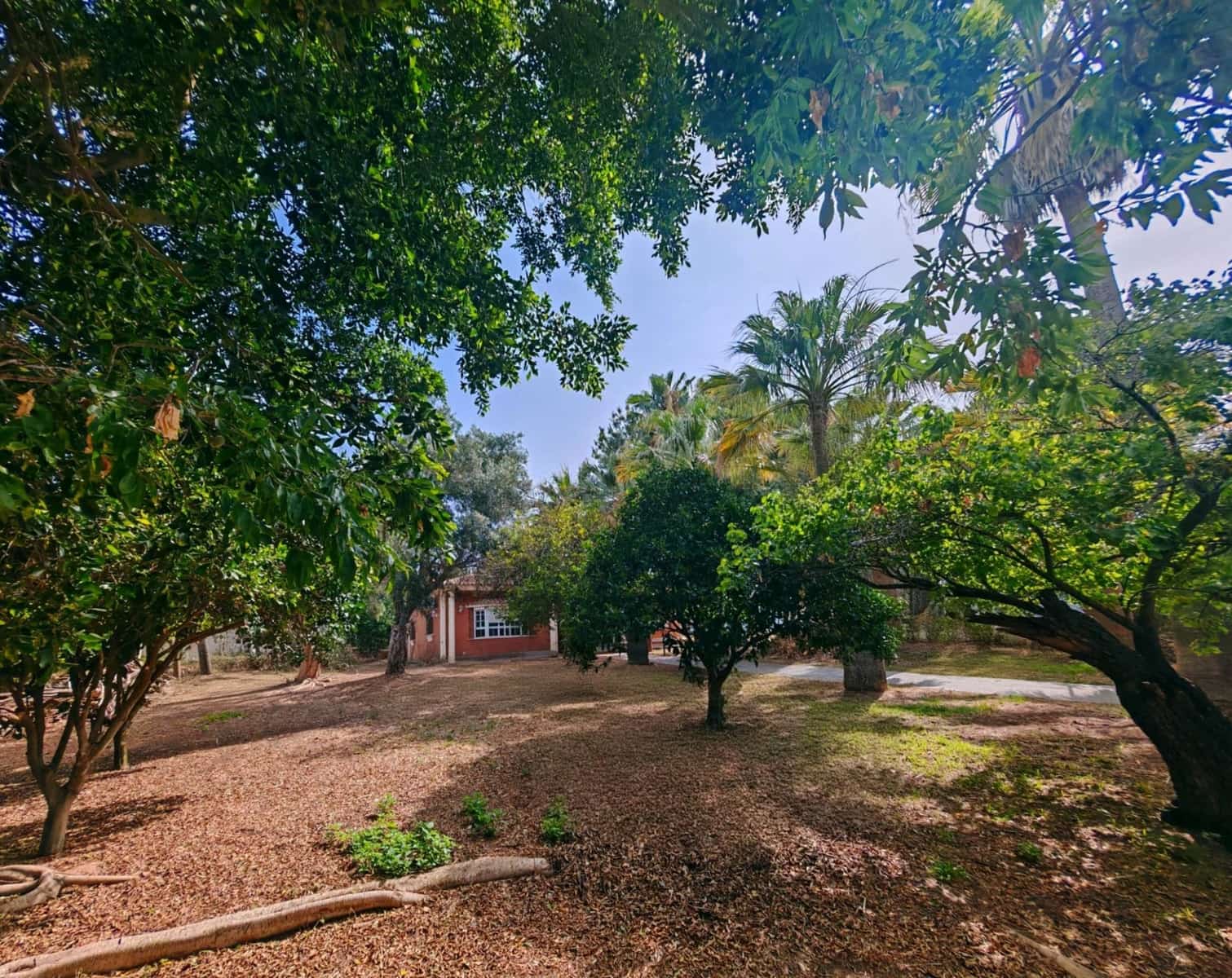 4 chambre Villa/Maison à vendre à Chiclana de la Frontera avec piscine garage - 600 000 € (Ref: 9073526)