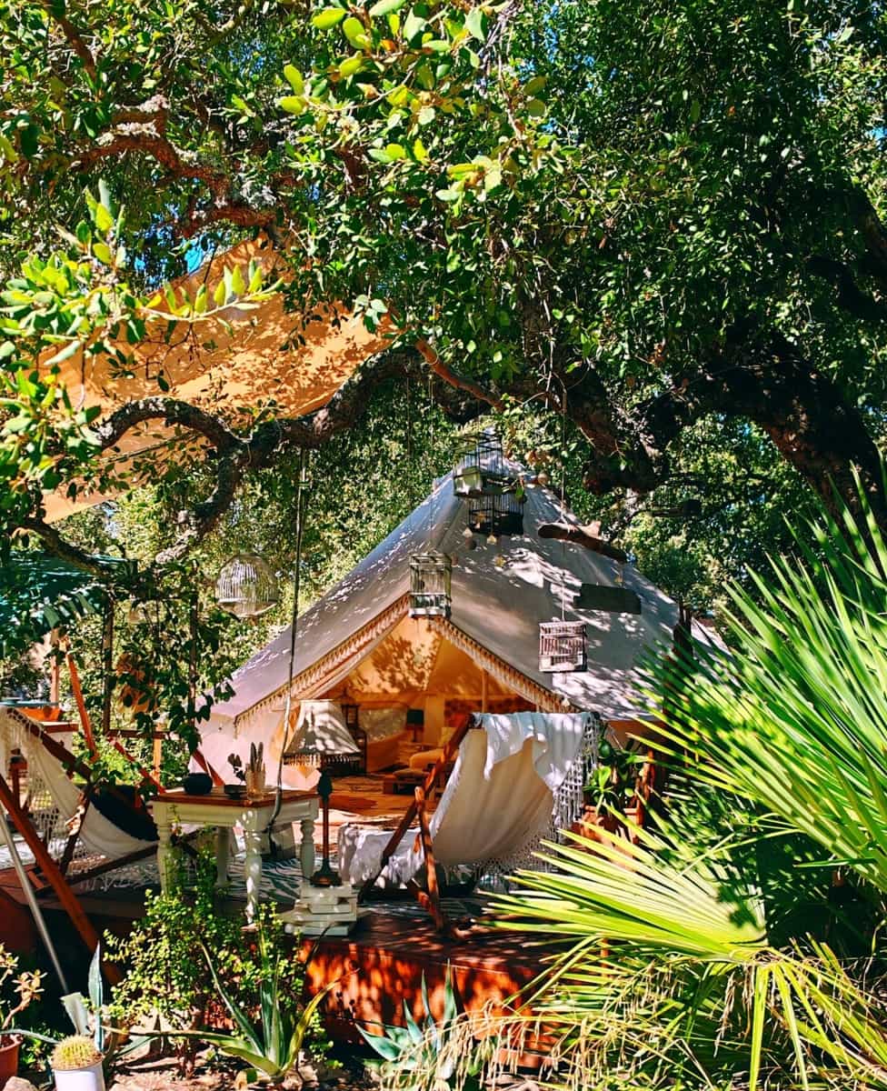 4 soveværelse Virksomhed til salg i Chiclana de la Frontera - € 390.000 (Ref: 9226894)