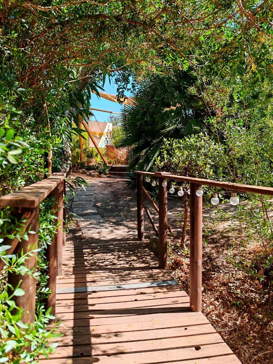 4 soveværelse Virksomhed til salg i Chiclana de la Frontera - € 390.000 (Ref: 9226894)