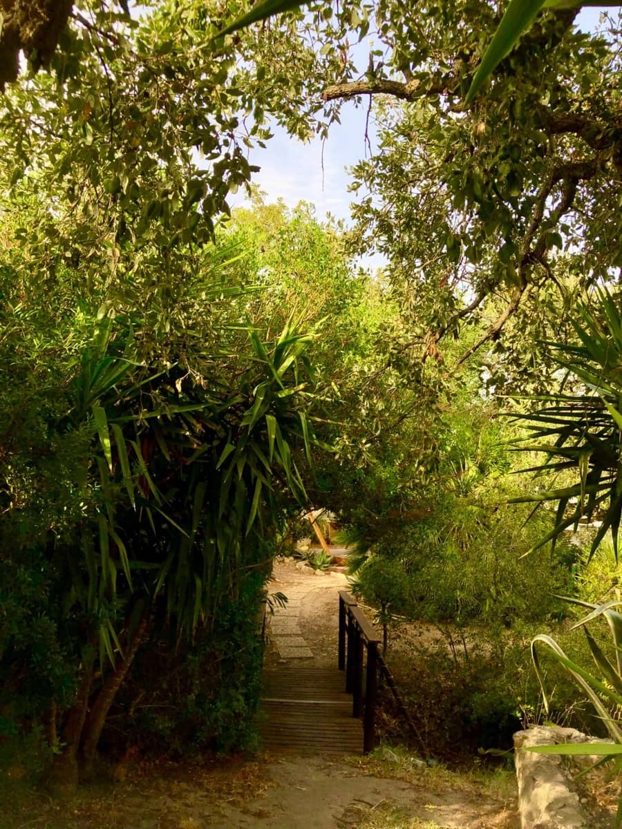 4 soveværelse Virksomhed til salg i Chiclana de la Frontera - € 390.000 (Ref: 9226894)