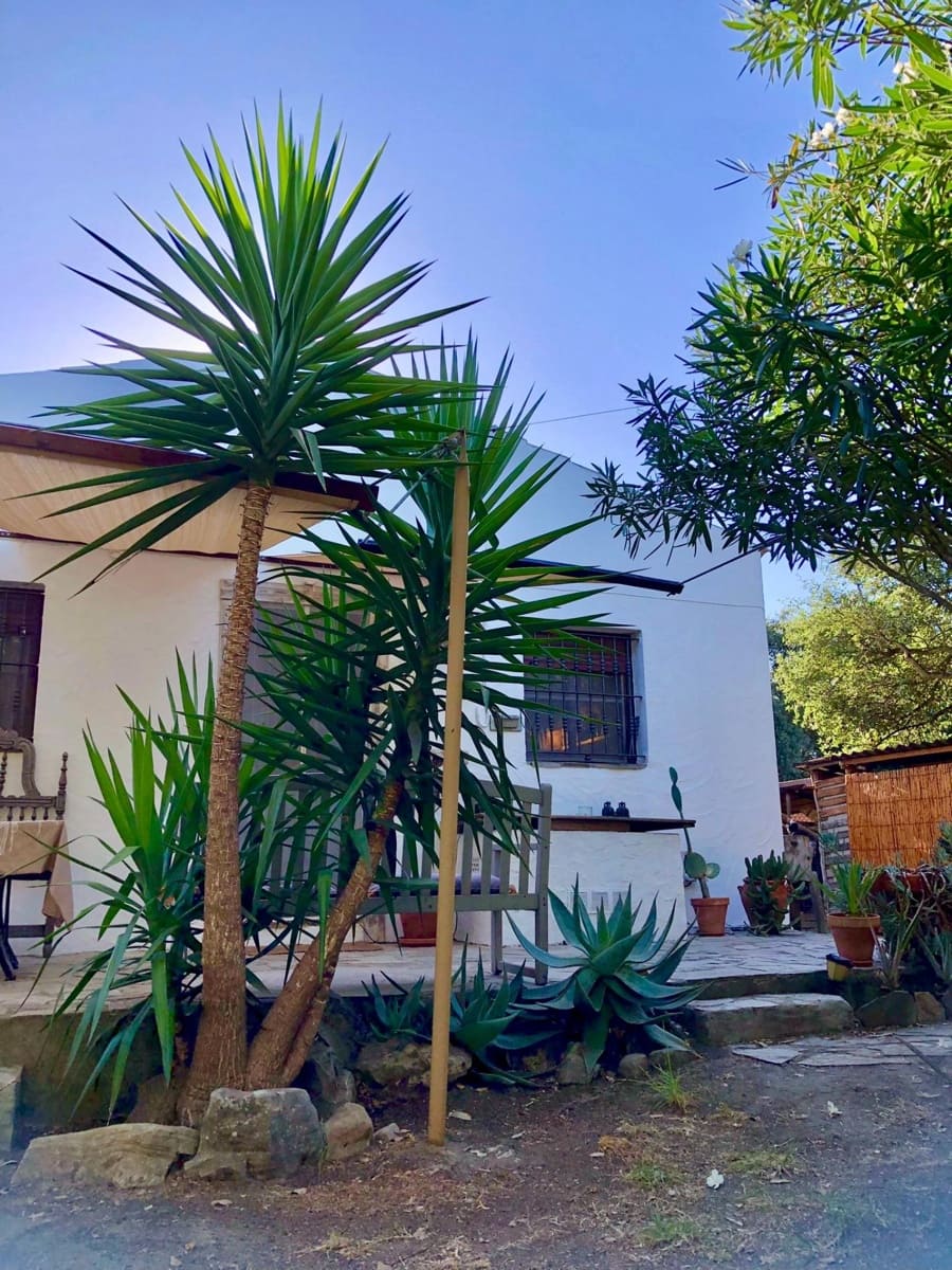 4 soveværelse Virksomhed til salg i Chiclana de la Frontera - € 390.000 (Ref: 9226894)