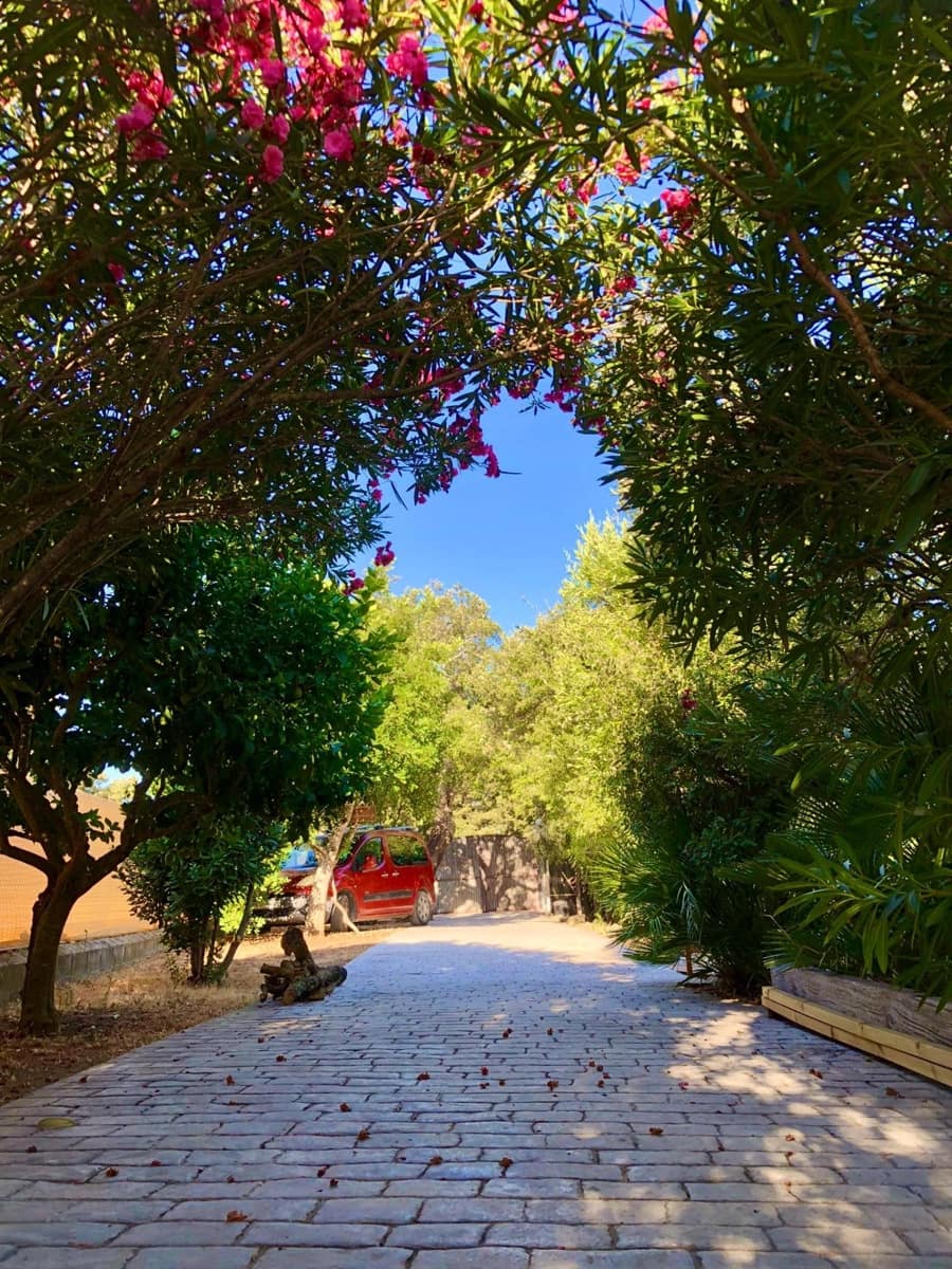 4 soveværelse Virksomhed til salg i Chiclana de la Frontera - € 390.000 (Ref: 9226894)